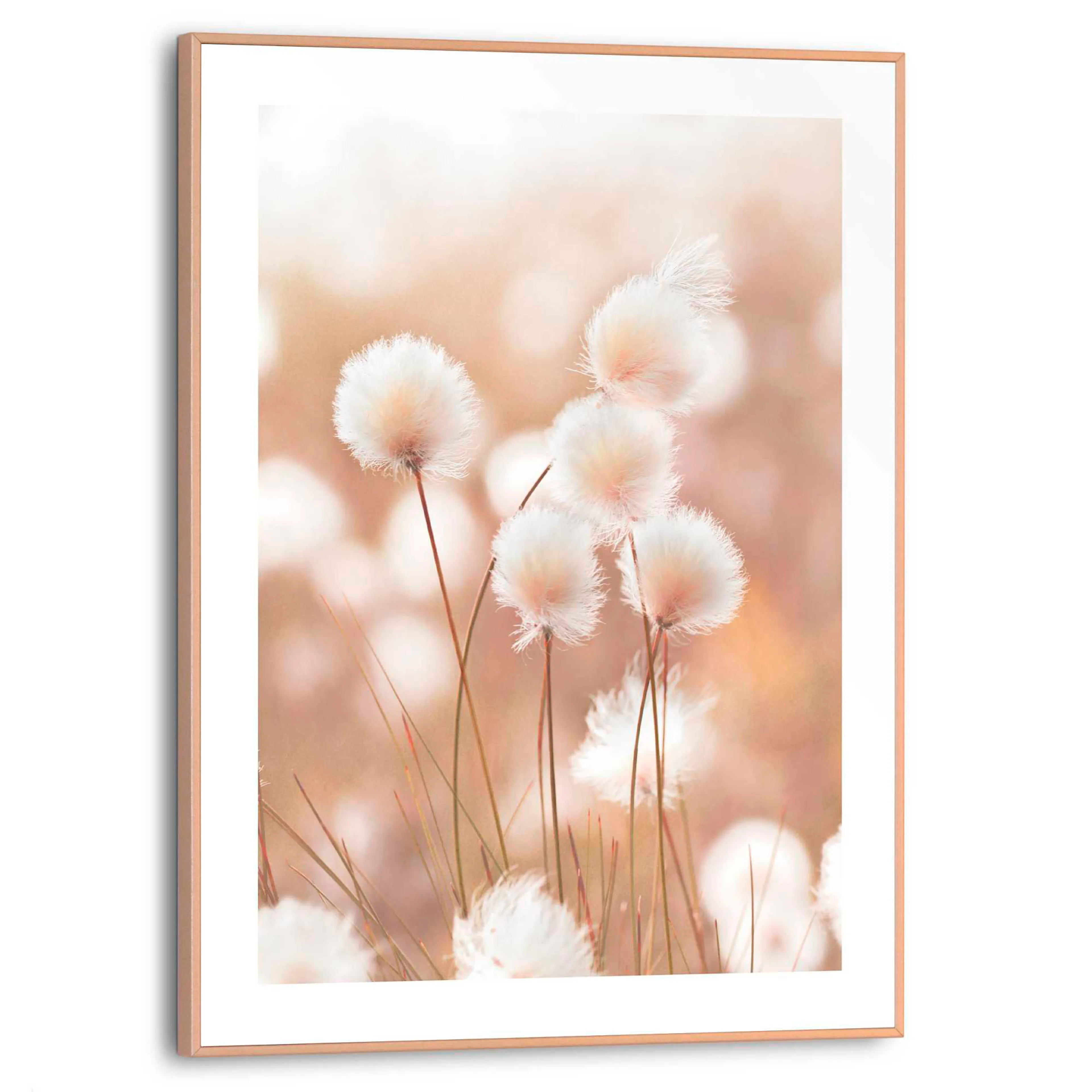 Wandbild 30 x 40 cm Cotton Pops