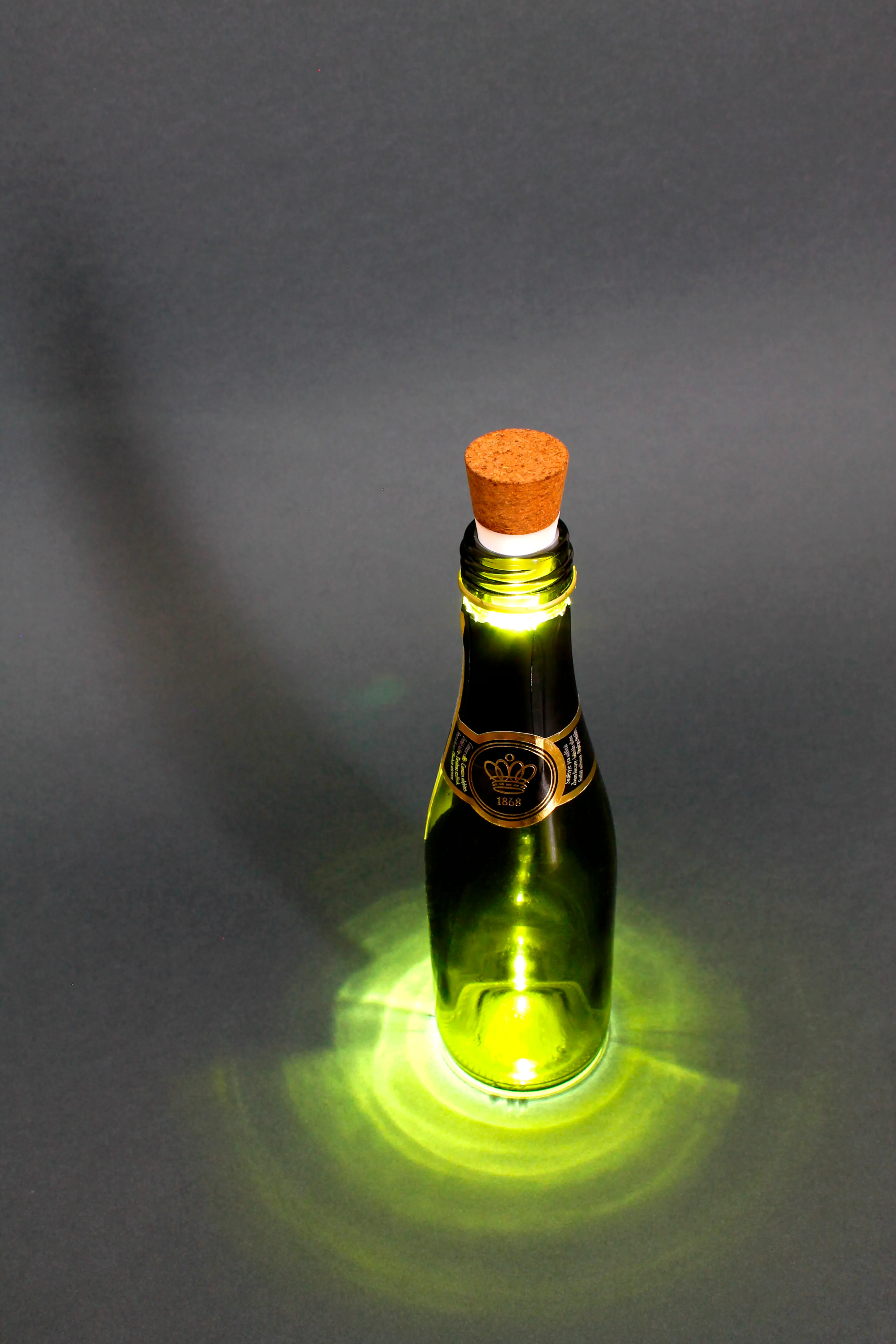 Flaschenlicht Bottlelight
