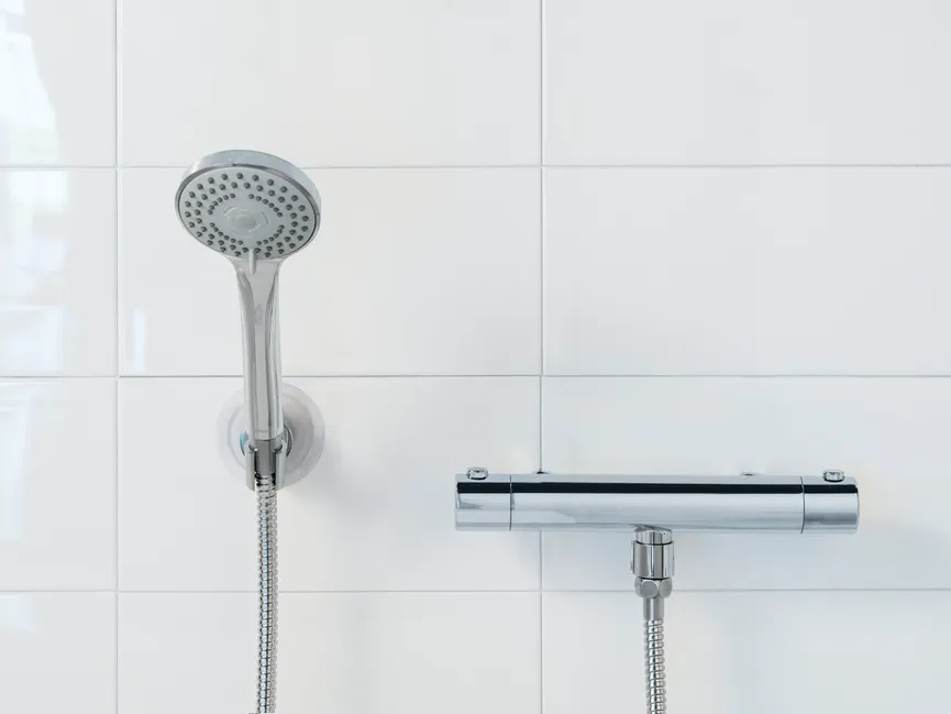 Duschkopf-Set Basic Line milieu