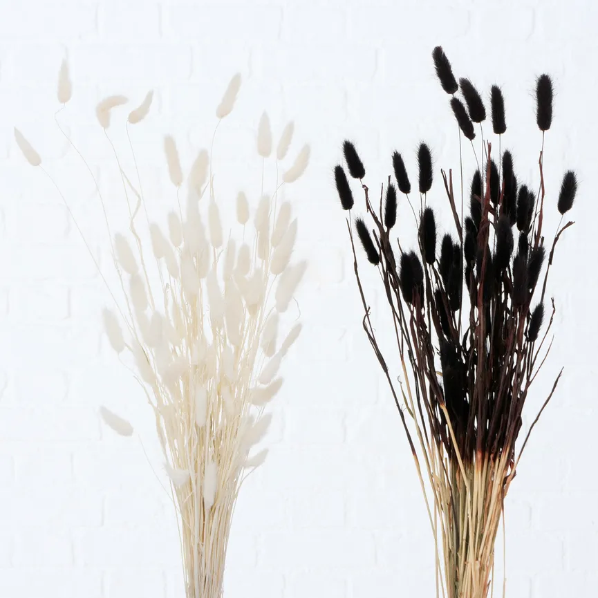 Samtgras weiß-schwarz detail