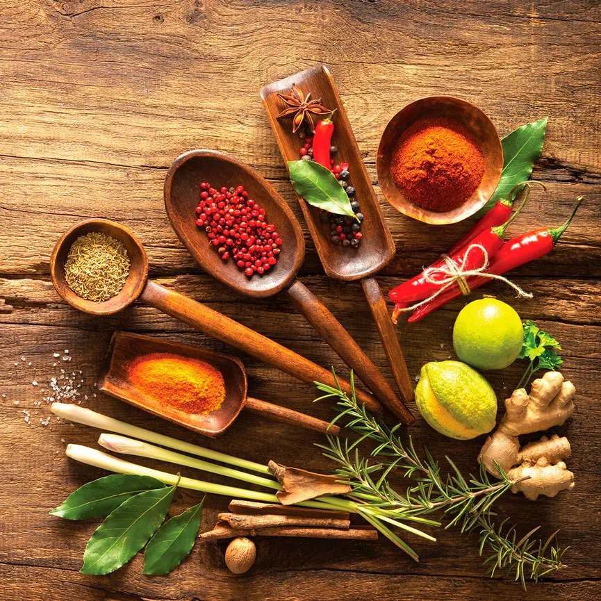 Küche / Kräuter - Herbs and Sp hauptaufnahme
