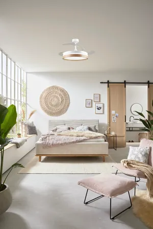 Deckenventilator