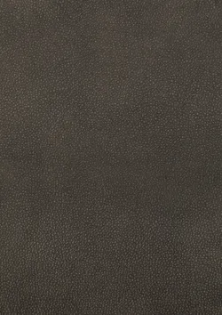 Anthracite material_farbe