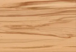 Kernbuche material_farbe