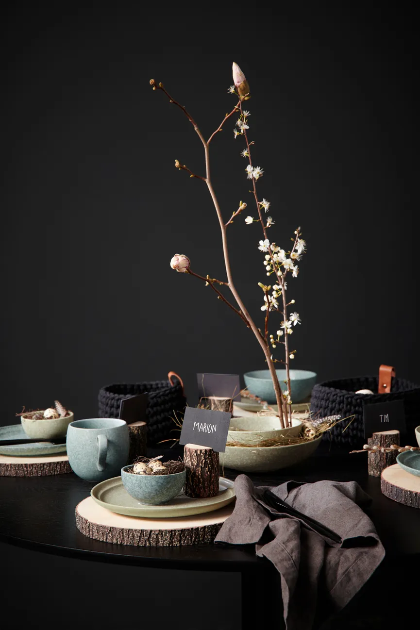Snackschale "Nesuto" bonsai milieu