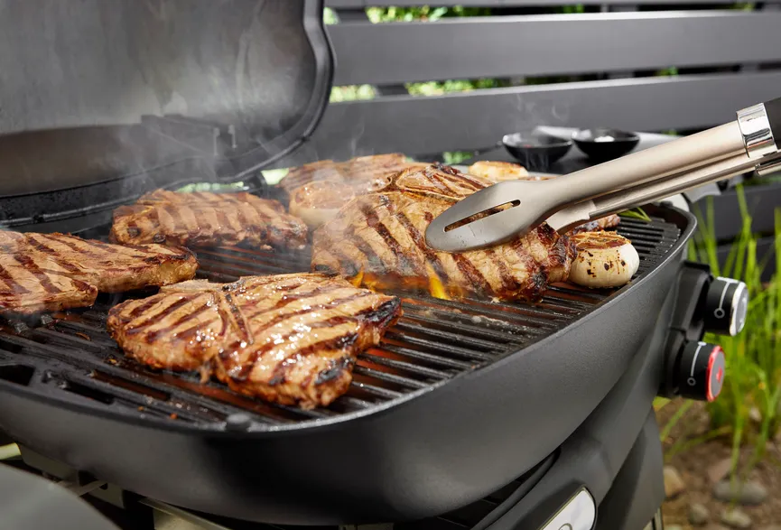 Weber Q3200N+ detail