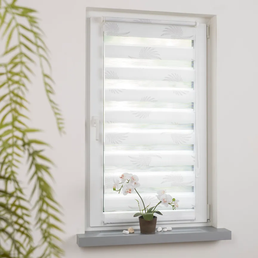 Duo Rollo Aster milieu