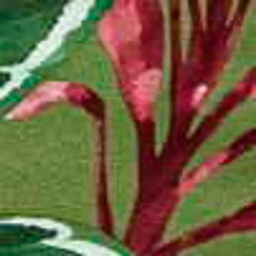 Niederlehner material_farbe