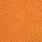 material_farbe