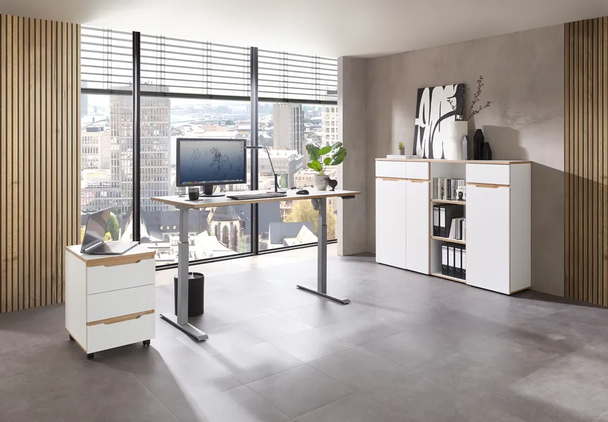 Büroregal milieu