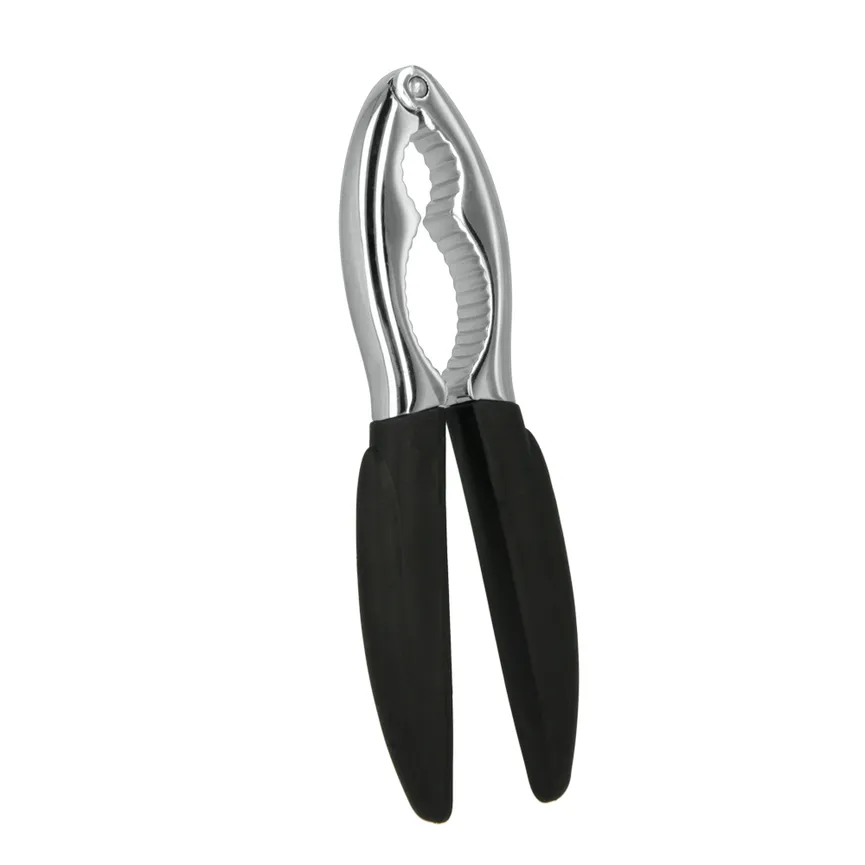 Nussknacker Synthesy hauptaufnahme