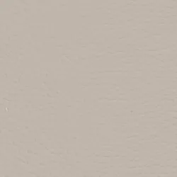Nebel material_farbe