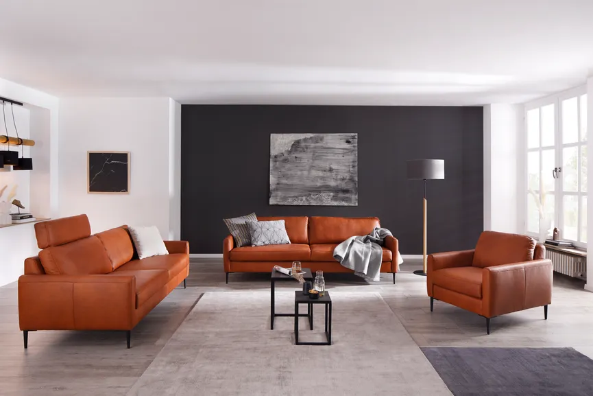Sofa groß N100 milieu