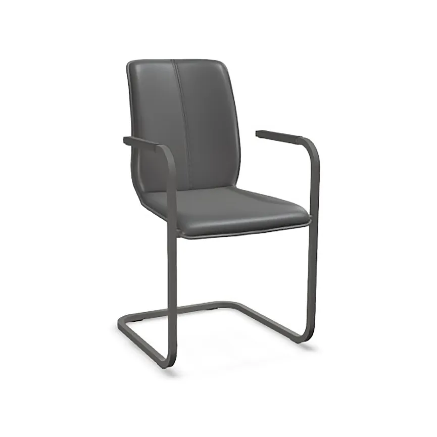 AL-Freischwinger Tara 824-A material_farbe