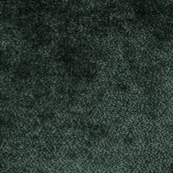 Rain Forest material_farbe