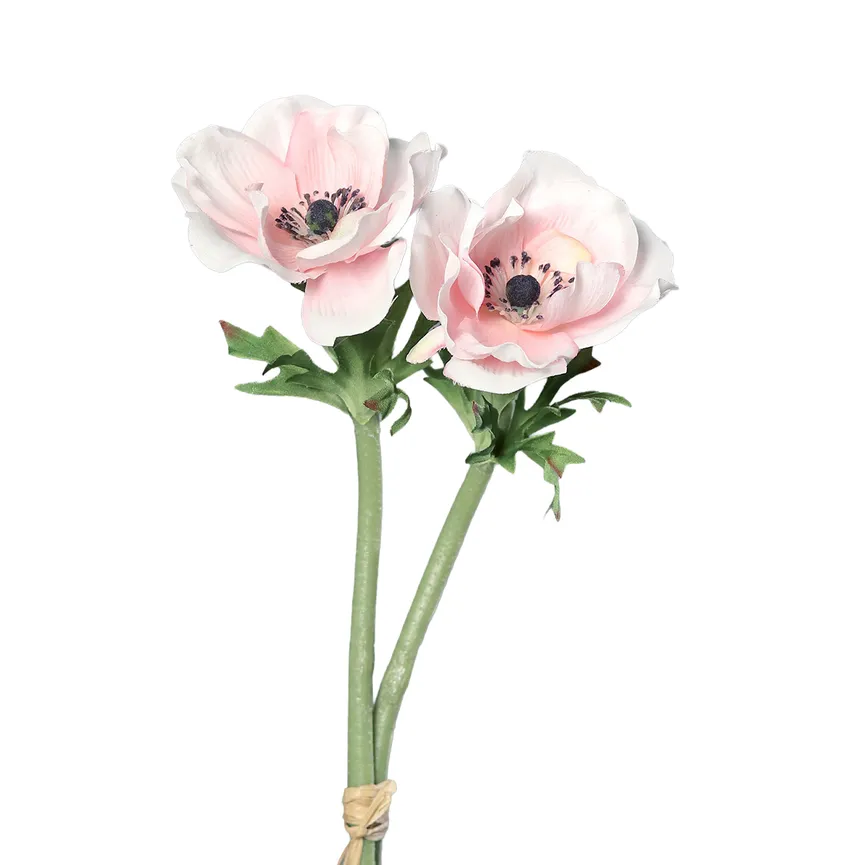 Anemonen-Pick rose hauptaufnahme