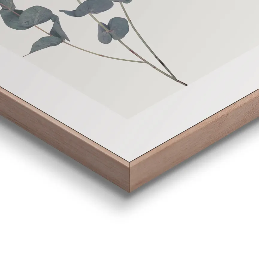 Bild gerahmt "Eucalyptus" detail