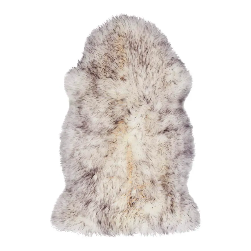 Schaf- hauptaufnahme