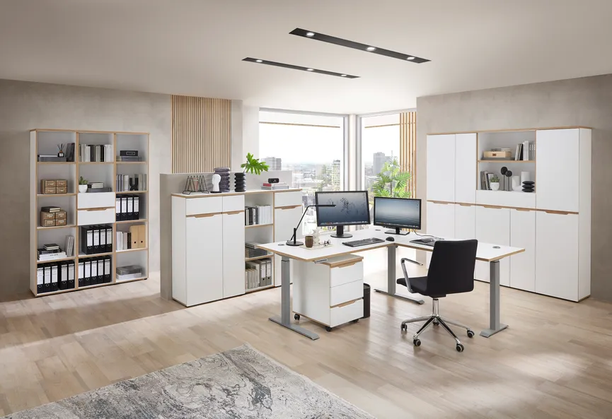 Büroregal milieu