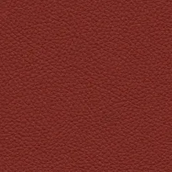 Red material_farbe