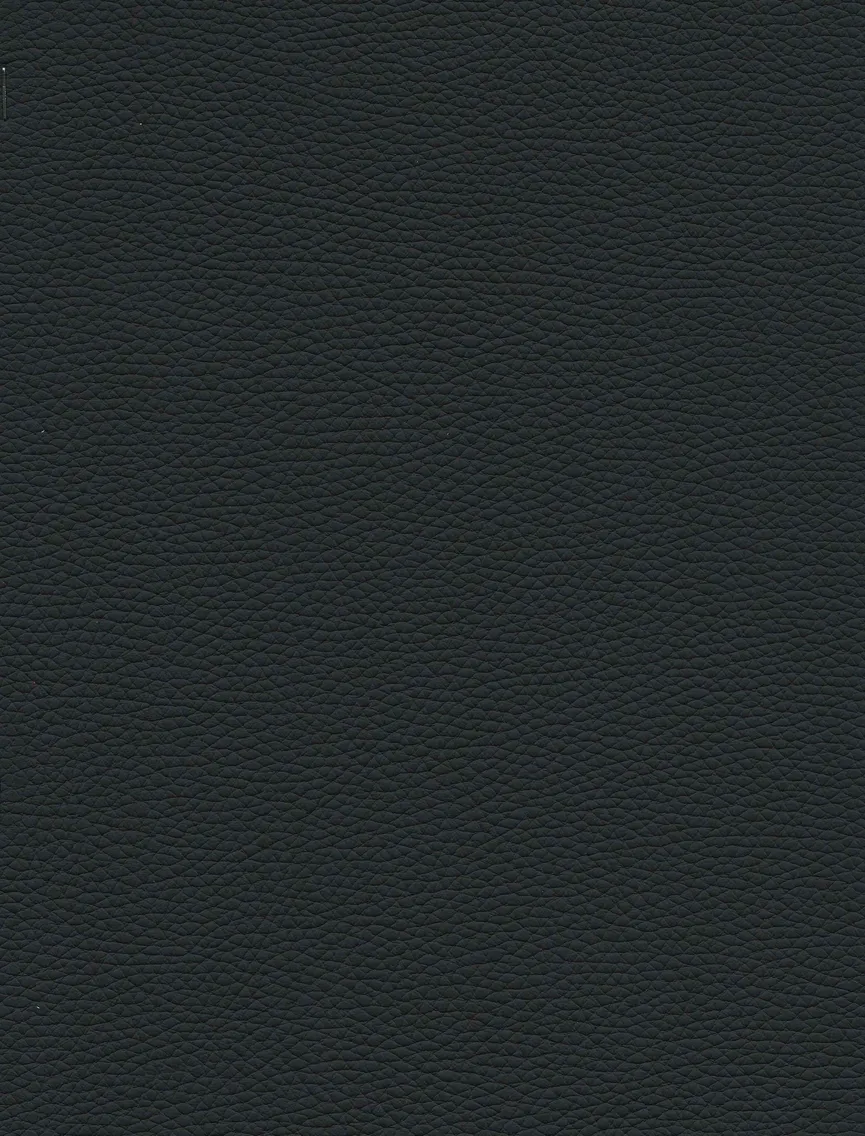 Stuhl 11904005 material_farbe