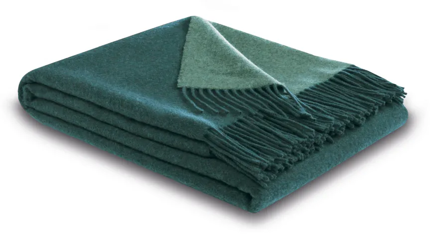 Plaid teal-green hauptaufnahme