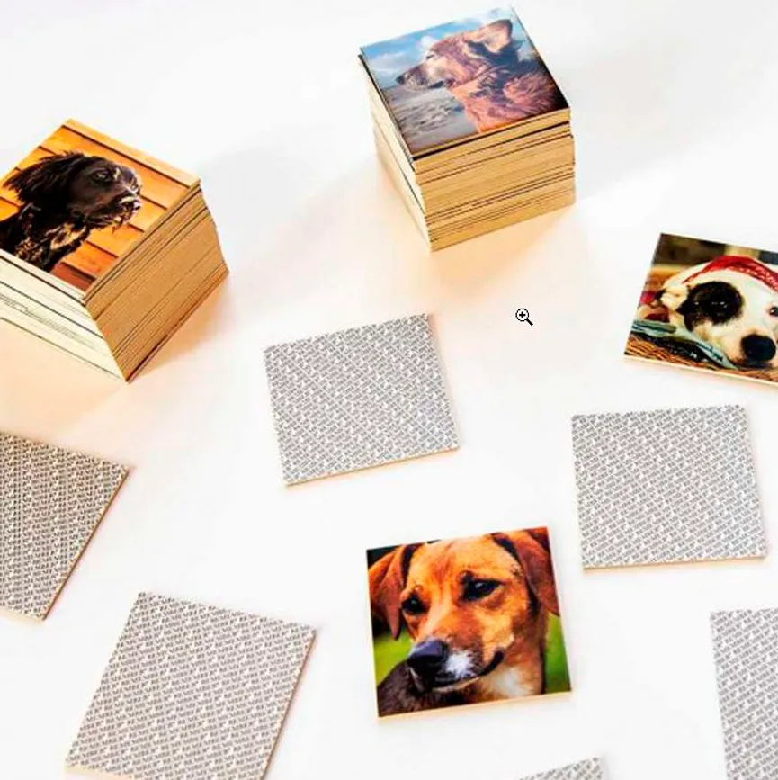 Remember 44 "Dogs" detail