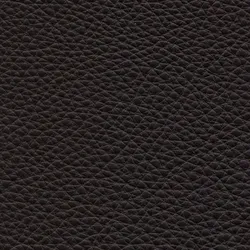 Testa di moro  material_farbe