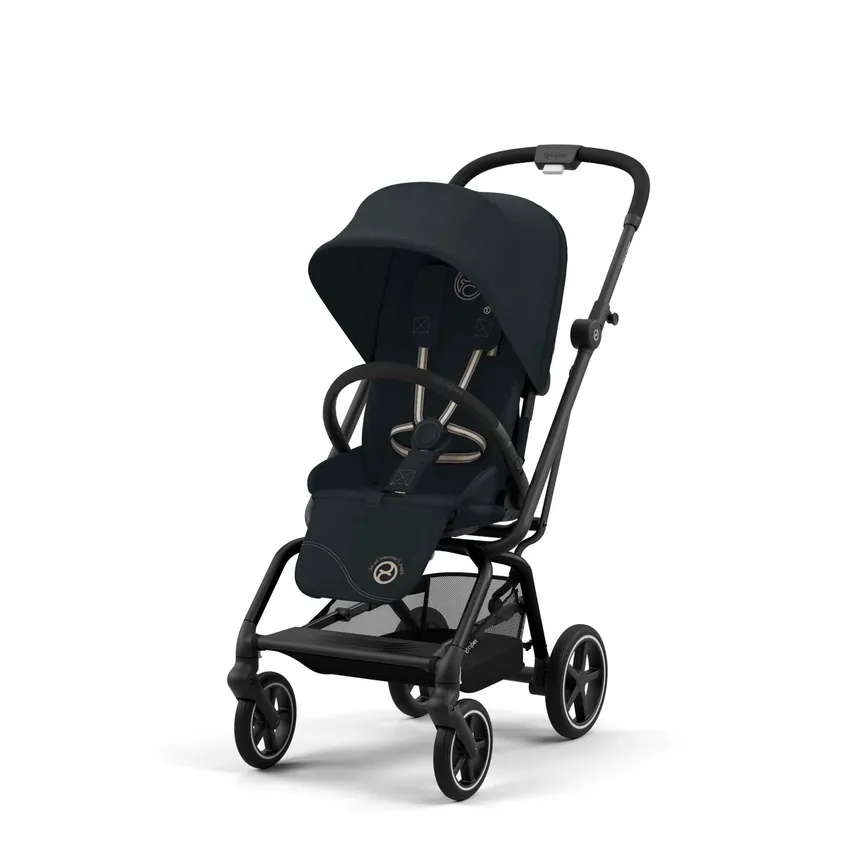 Buggy Eezy S Twist+ 2 detail