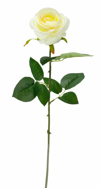 Kunstblume