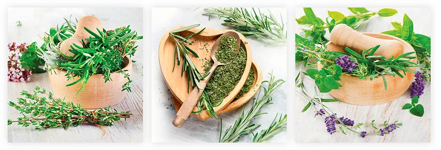 Küche - Fresh Herbs Set hauptaufnahme