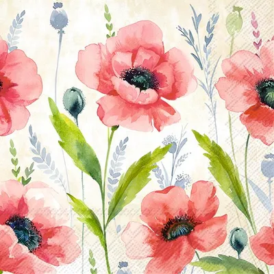 Serviette