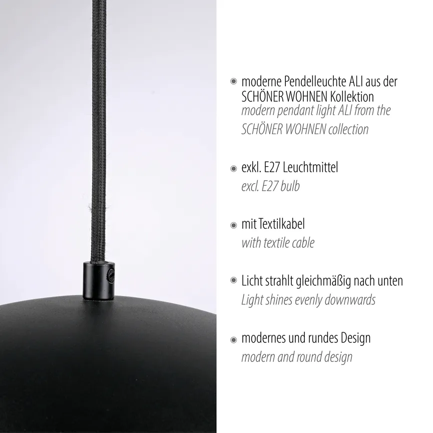 Pendelleuchte "ALI" detail