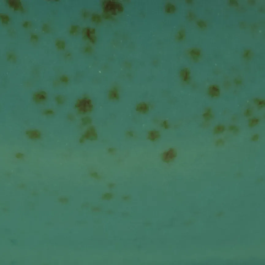 Sojaschale "Nature Collection" material_farbe