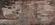 FARBE