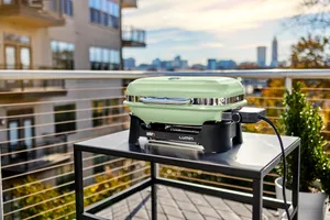 Elektrogrill