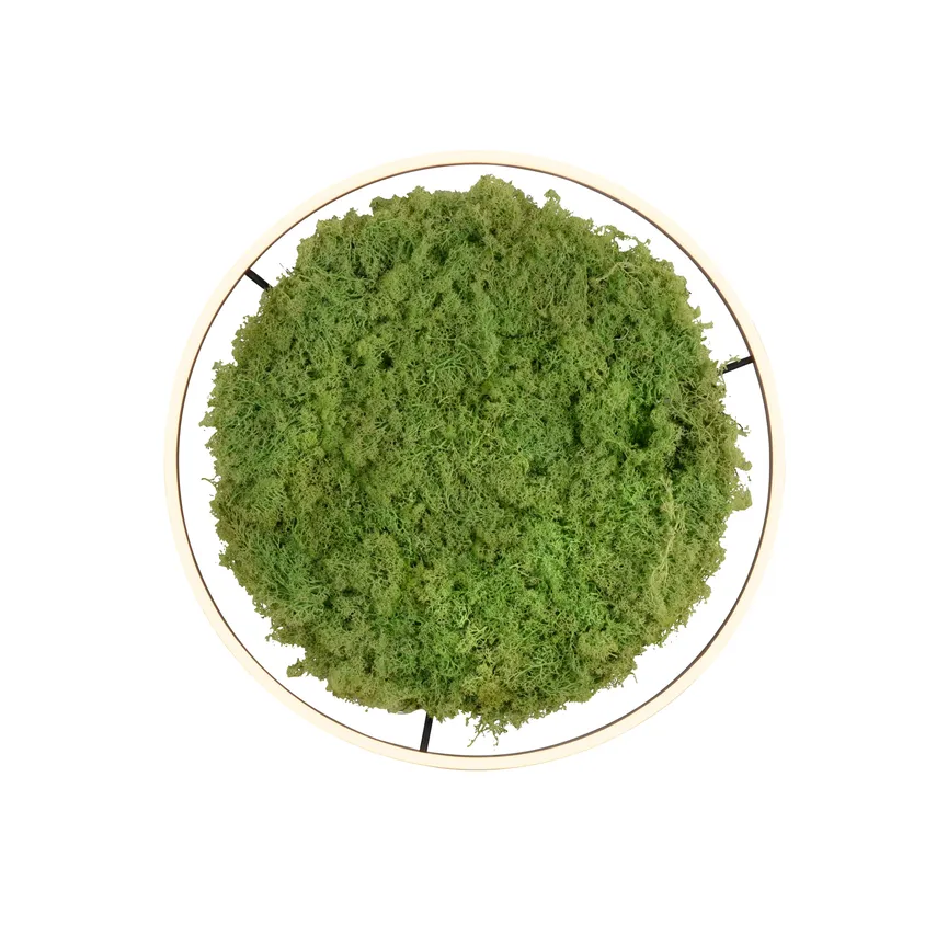 Deckenleuchte "Green Ritus" detail