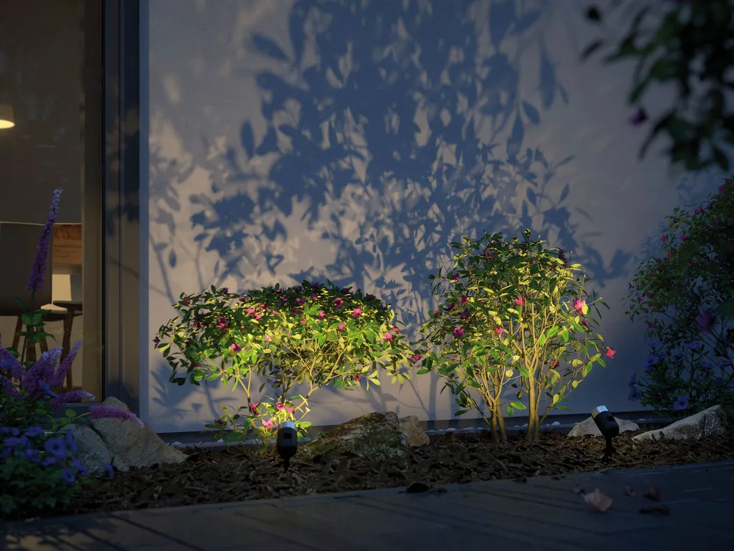 milieu