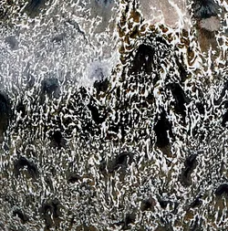 Black material_farbe