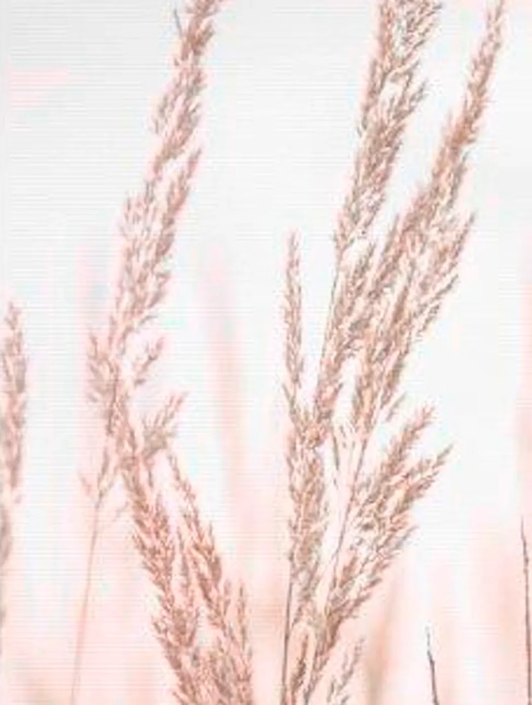 material_farbe