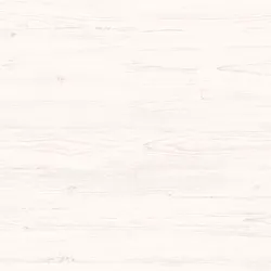 Pinie material_farbe