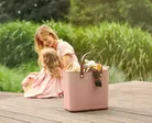 milieu