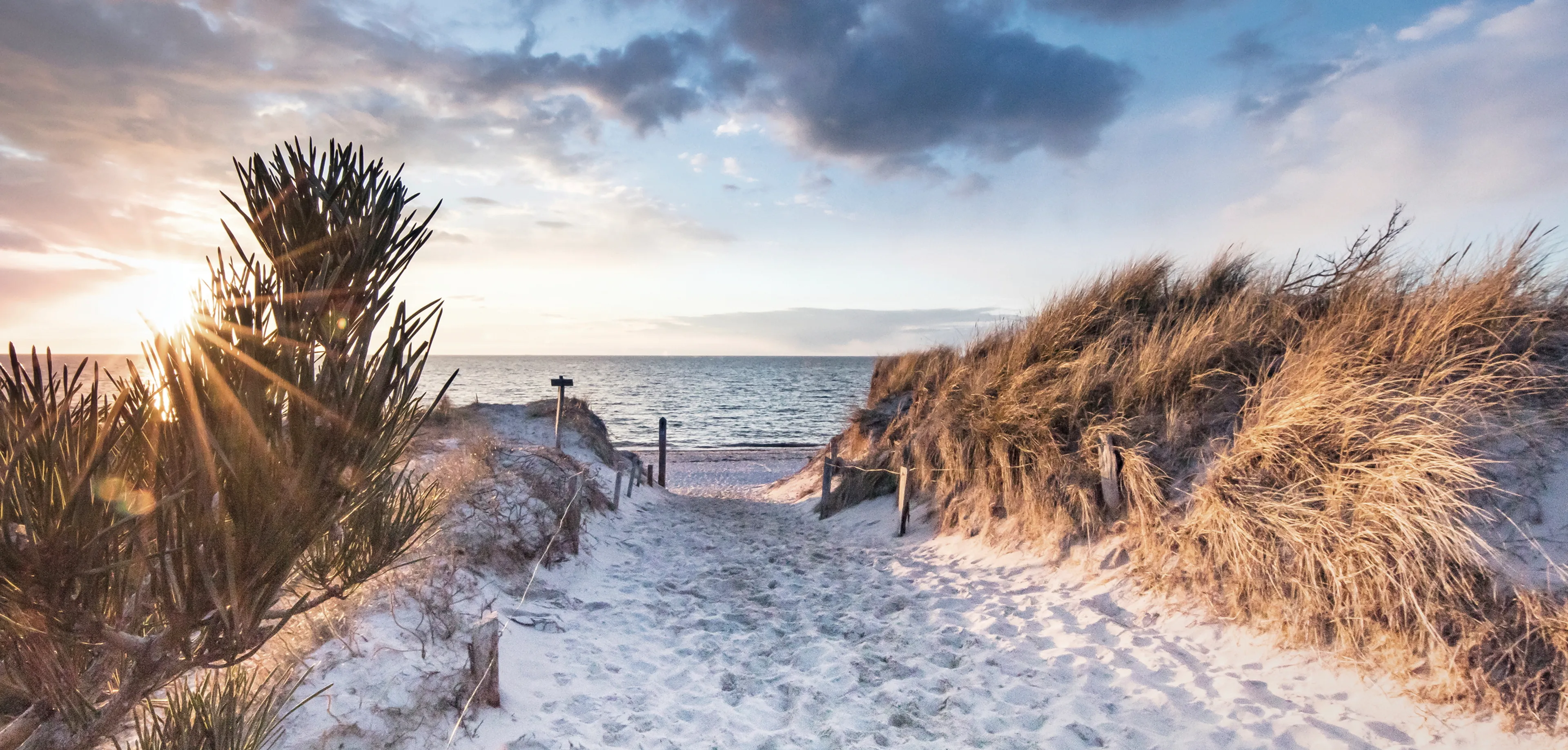 Wandbild 55 x 115 cm Beautiful Coast III
