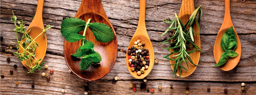 Küche / Kräuter - Herbs IV hauptaufnahme