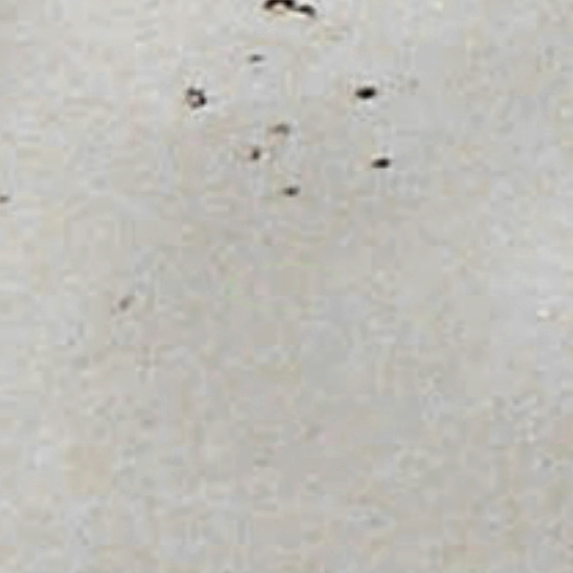 Platte "Nature Collection" material_farbe