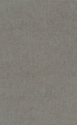 Grey material_farbe