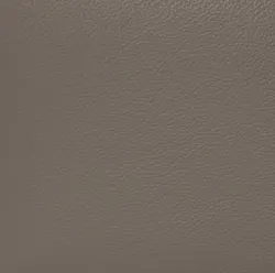 Schlamm material_farbe