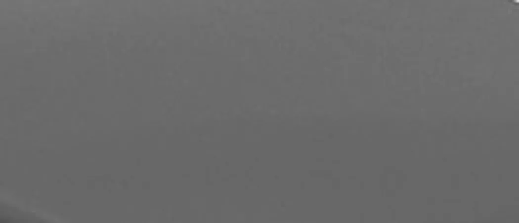 material_farbe