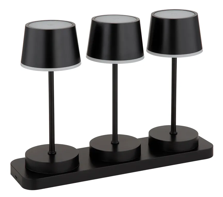 Akku-Tischleuchte "Dawson" detail