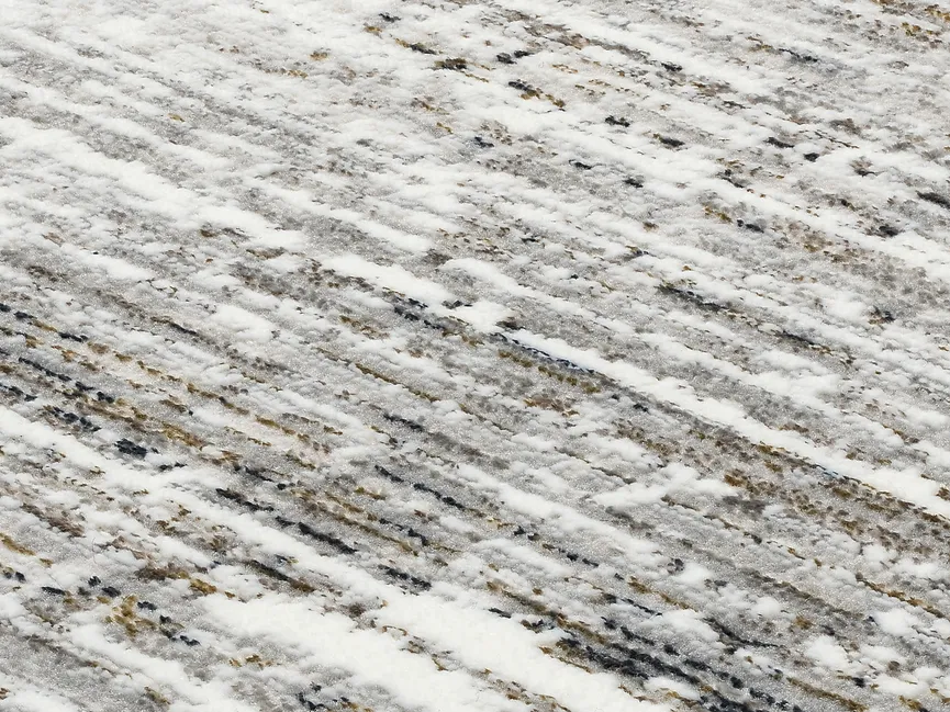 Design-Teppich material_farbe